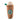 Starbarks Frenchie Roast Squeak Dog Toy